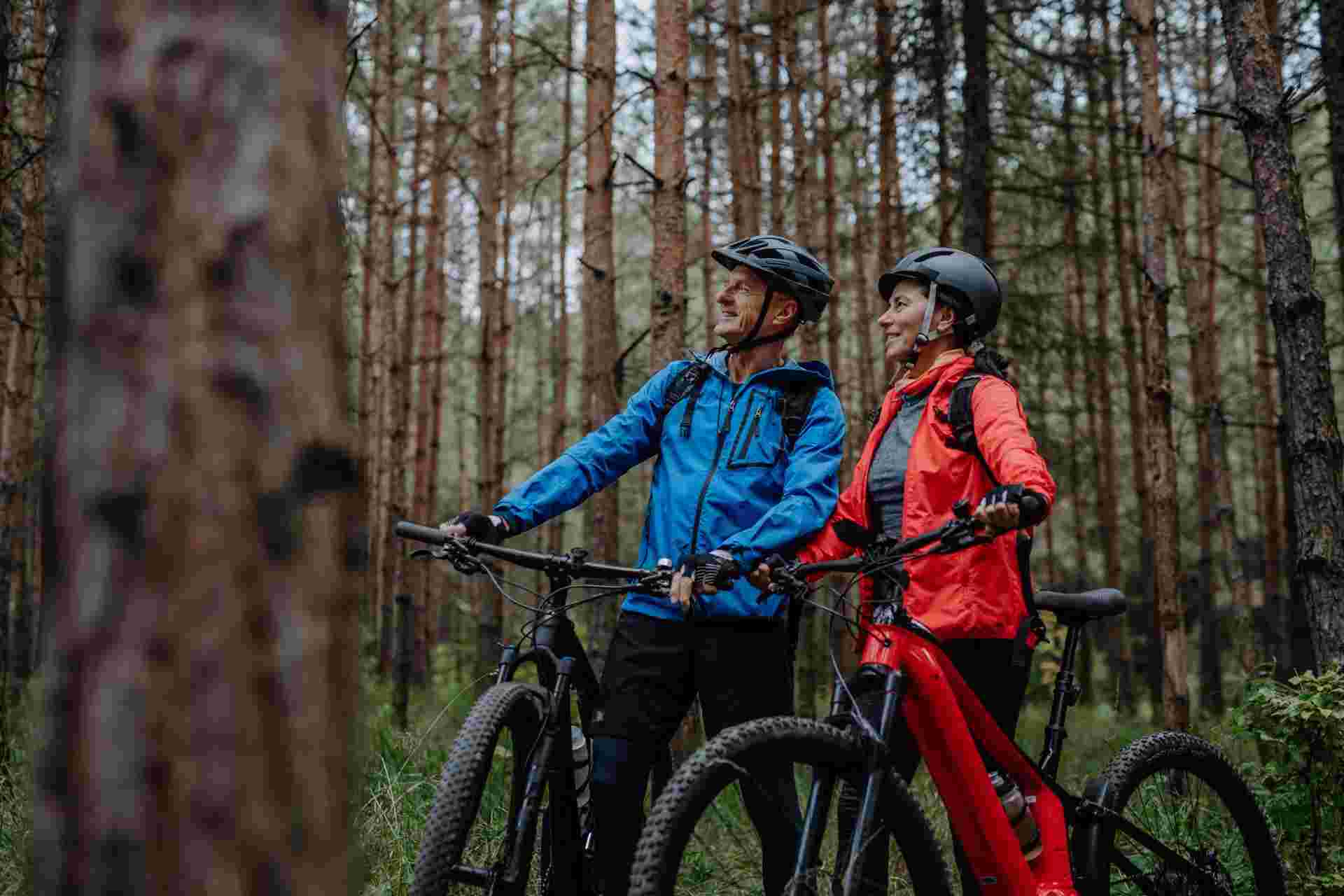 Senior couple bikers with e-bikes admiring nature outdoors in forest in autumn day.